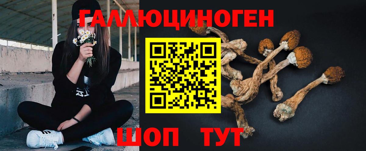 Галлюциногенные грибы прущие грибы Саяногорск